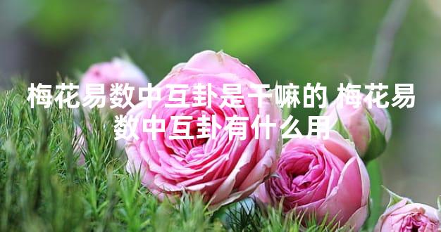 梅花易数中互卦是干嘛的 梅花易数中互卦有什么用